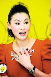 香港明星报价,明星片酬背后的秘密与趋势